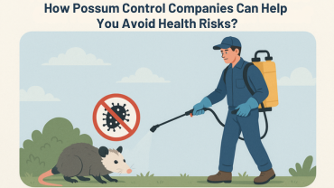 How Possum Control Companies Can Help You Avoid Health Risks